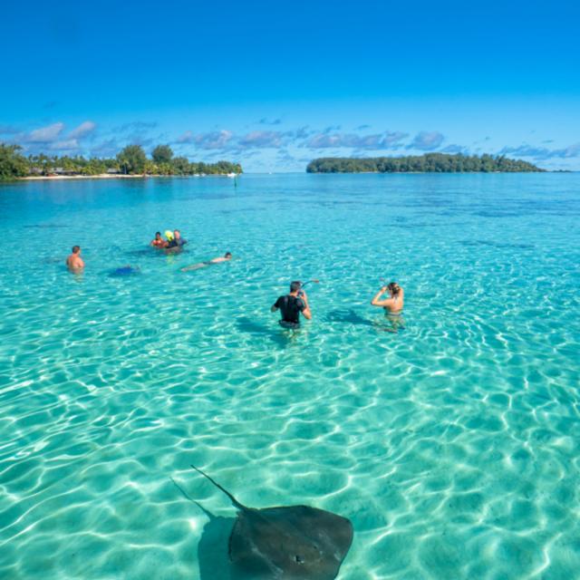 Découverte Du Lagon De Moorea - Tahiti Tourisme © Mark Fitz