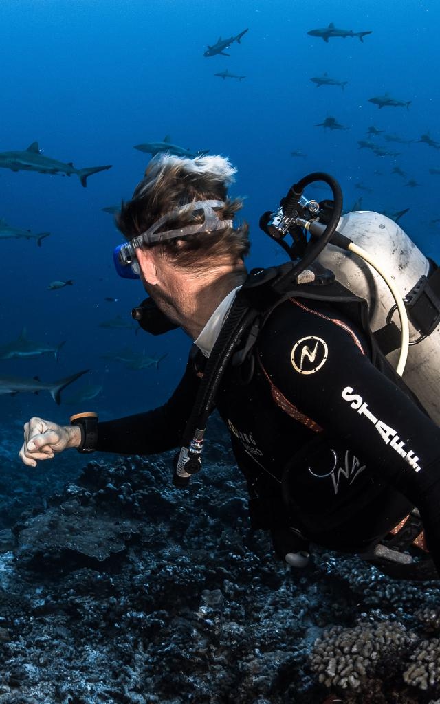 Wall of Sharks in Fakarava - Tahiti Tourisme © Grégory Lecoeur