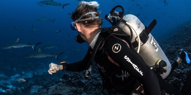 Mur De Requins à Fakarava - © Grégory Lecoeur