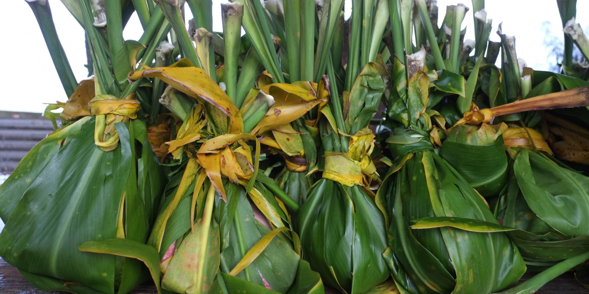 Earth Oven Dishes Wrapped in Auti (Cordyline) Leaves Rurutu The Austral Islands