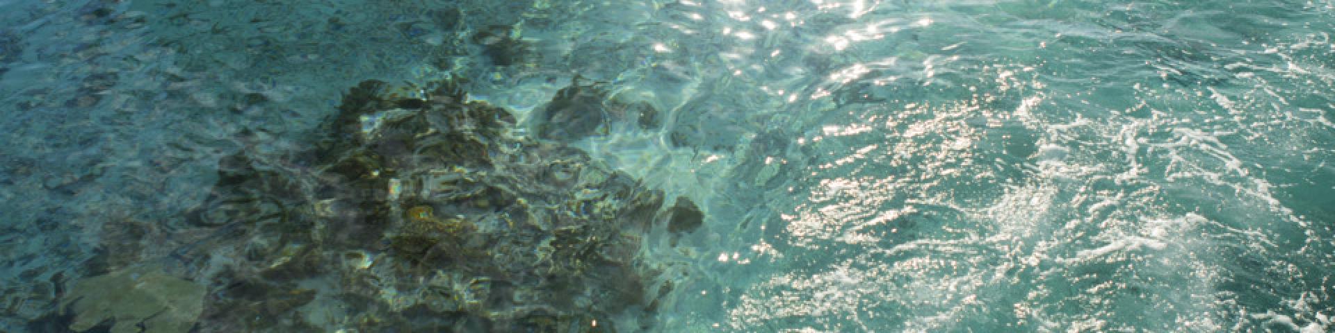 tikehau pearl beach resort