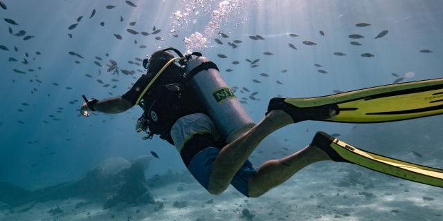 Diver in The Islands of Tahiti - Tahiti Tourisme