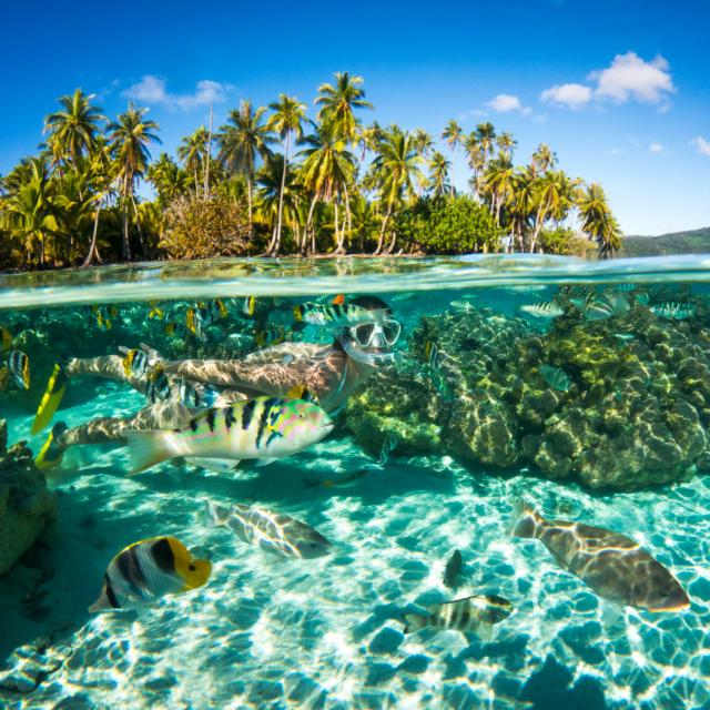 Snorkeling dans le lagon de Moorea - Tahiti Tourisme © David Kirkland