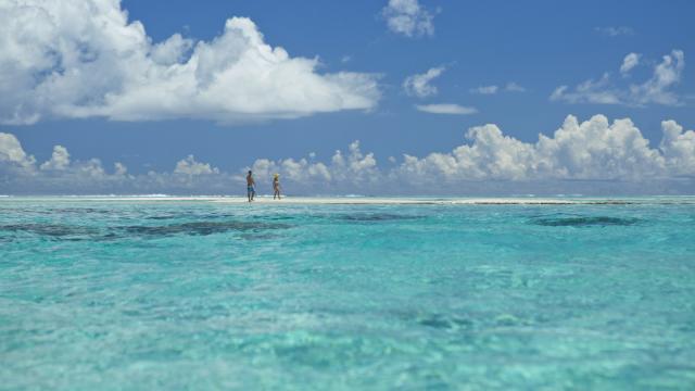 Romantic Stroll on a Pink Sandy Beach - Tahiti Tourisme