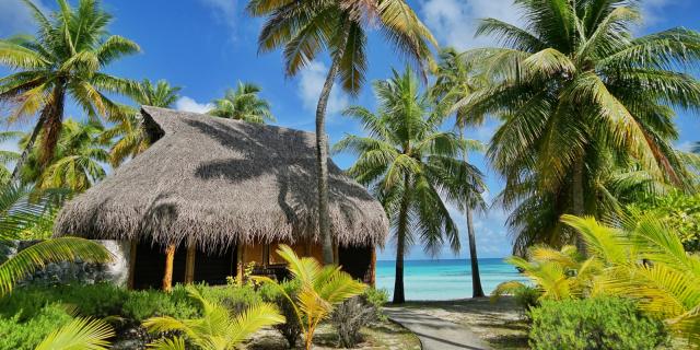 Bungalow Le Tikehau - Tahiti Tourisme © Lei Tao