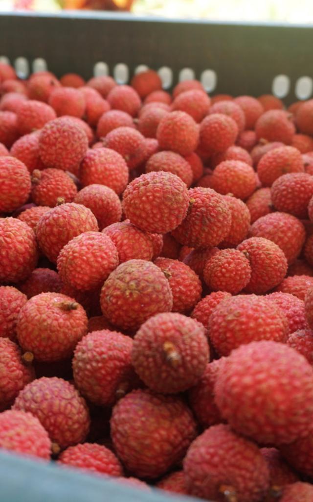 Crate of Lychees Tubuai - Tahiti Tourisme