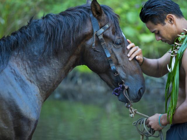 Cavalier De Hiva Oa © Tahiti Tourisme