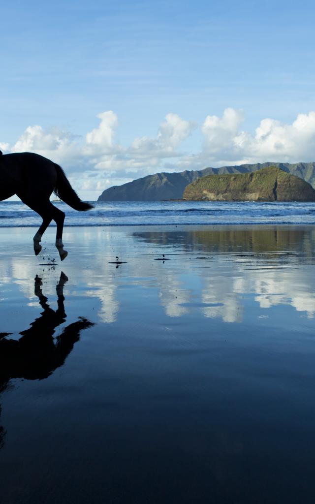 Cavalier Sur La Plage Hiva Oa Tahiti Tourisme © Grégoire Le Bacon