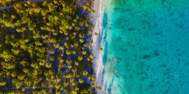 Entre Terre Et Mer à Fakarava - Tahiti Tourisme © Jim Winter