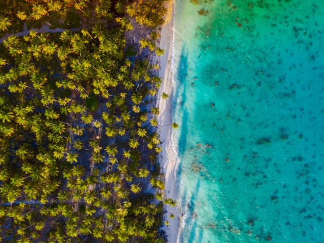 Entre Terre Et Mer à Fakarava - Tahiti Tourisme © Jim Winter