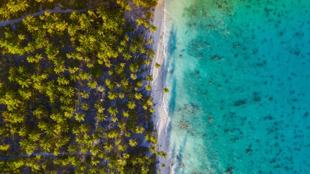 Entre Terre Et Mer Fakarava Tahiti Tourisme © Jim Winter