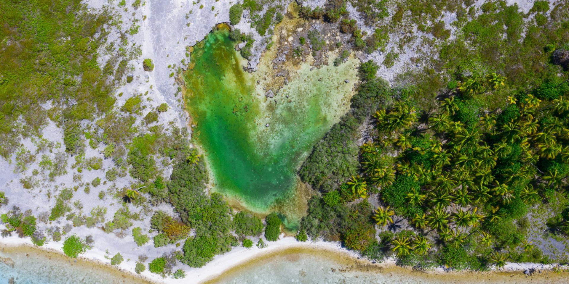 Fakarava Motu - Tahiti Tourisme © Jim Winter