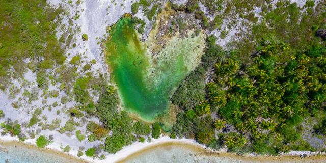 Fakarava Motu - Tahiti Tourisme © Jim Winter