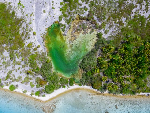 Fakarava Motu - Tahiti Tourisme © Jim Winter