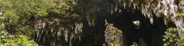 Mitterrand Caves - Tahiti Tourisme