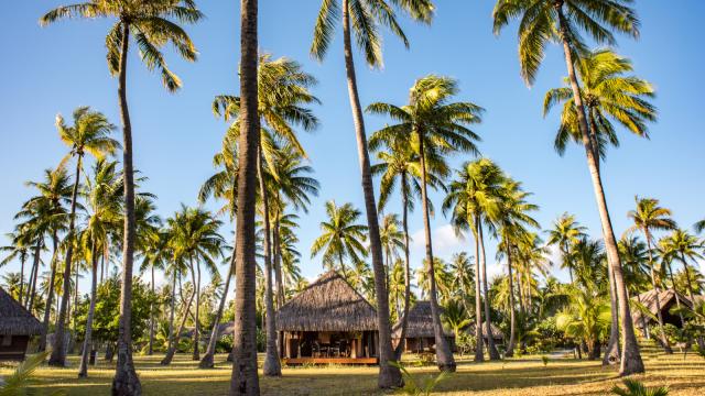 Hébergement à Rangiroa - Tahiti Tourisme © Stéphane Mailion Photography