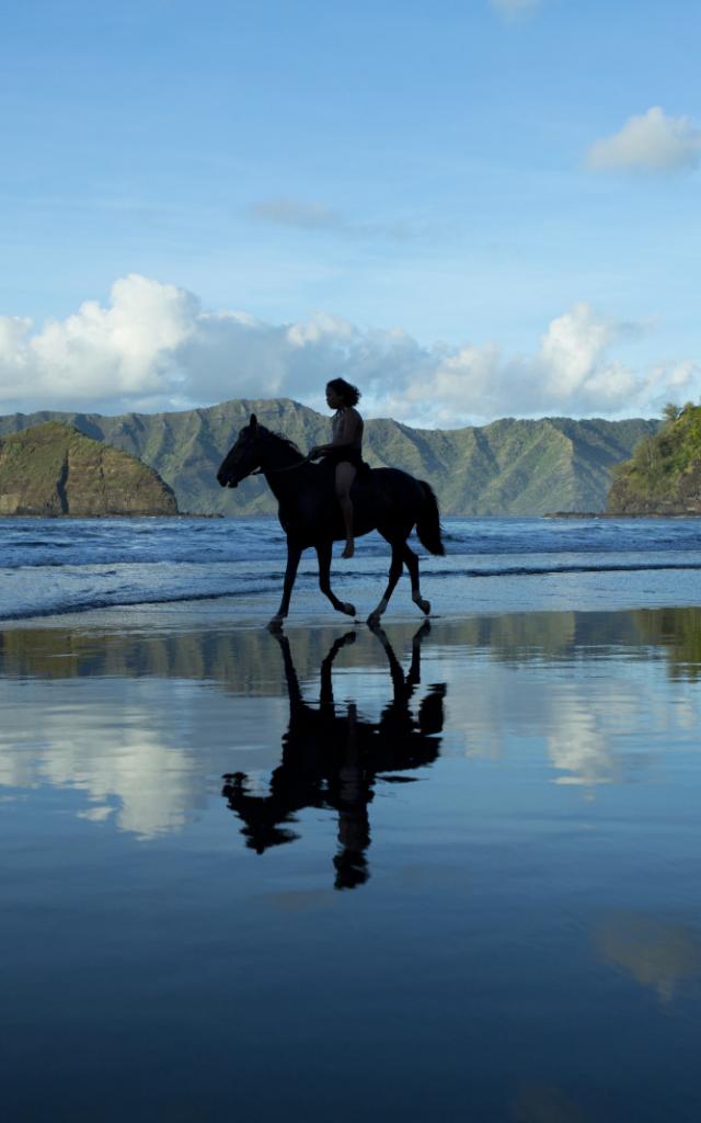 Hiva Oa Cheval Sur La Plage