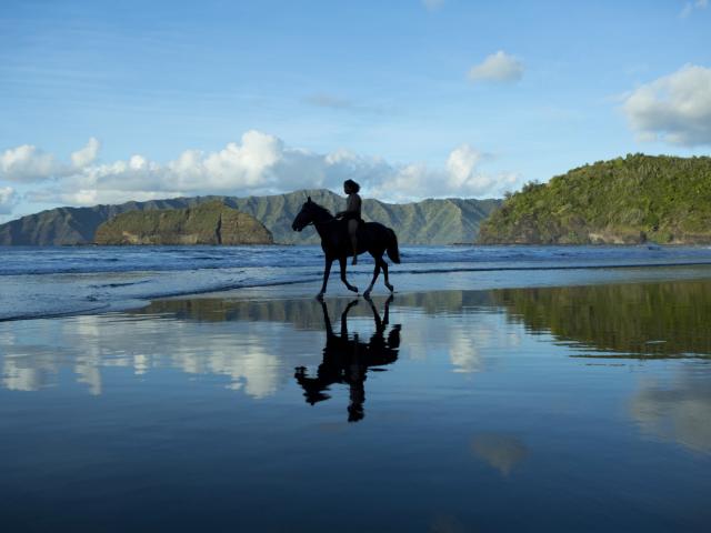 Hiva Oa Cheval Sur La Plage