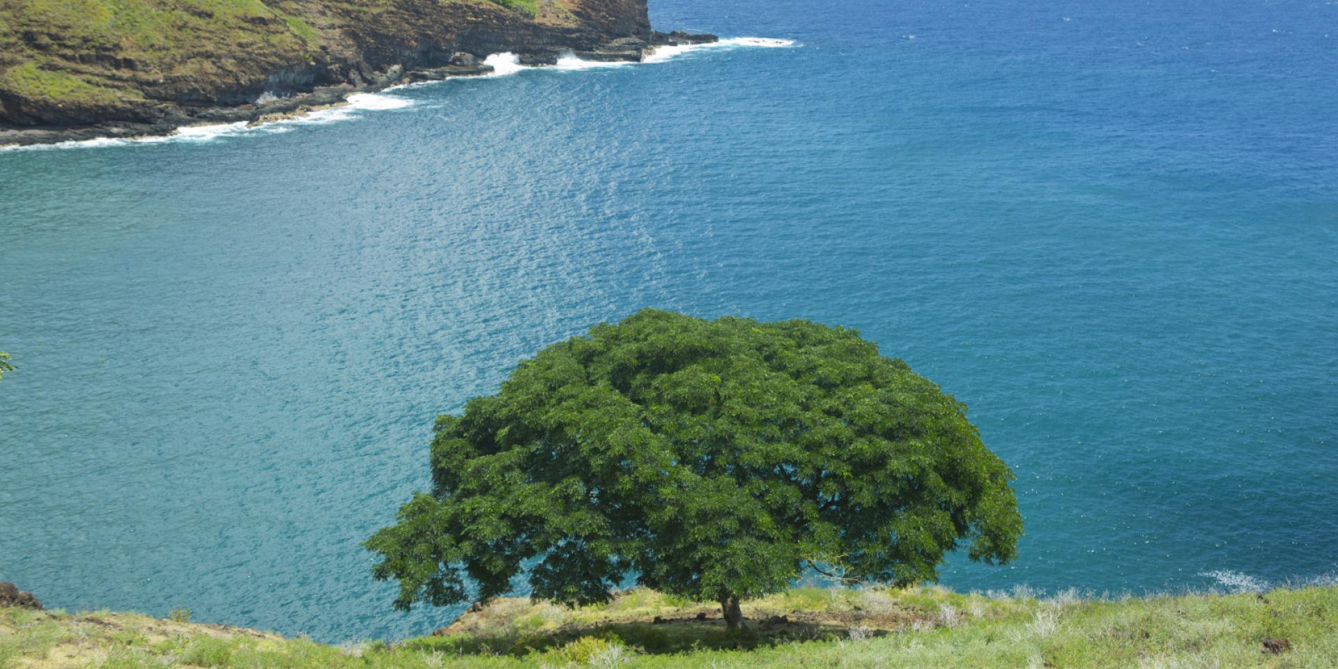 Hiva Oa Falaises