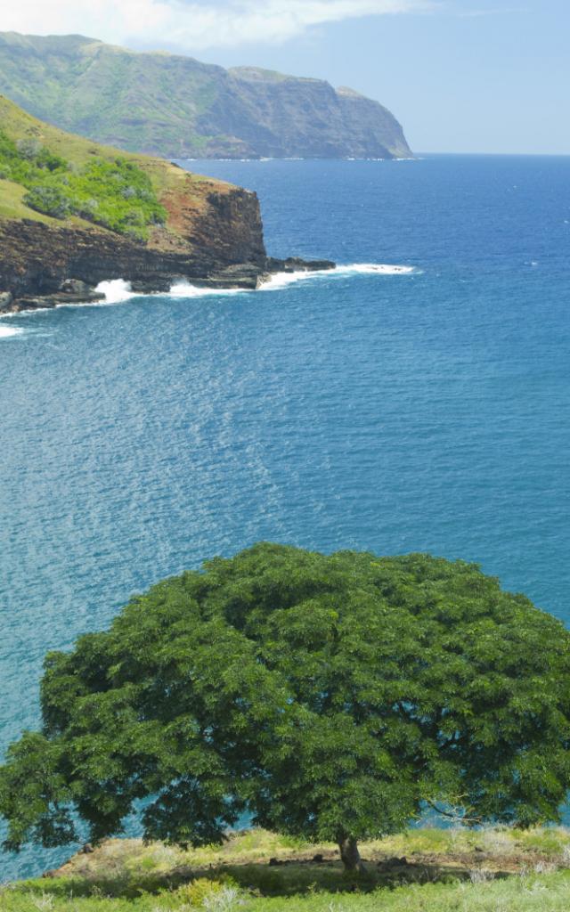 Cliffs Hiva Oa