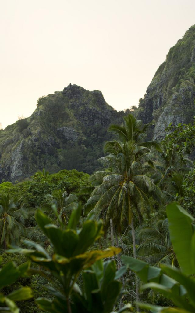 Mountain, Hiva Oa © Tahiti Tourisme