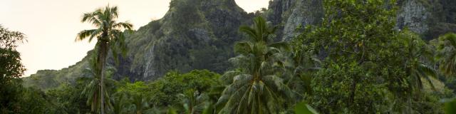 Hiva Oa Montagne © Tahiti Tourisme