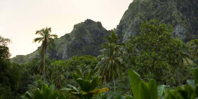 Hiva Oa Montagne © Tahiti Tourisme