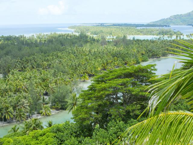 Huahine île Sauvage - ©Tahiti Tourisme