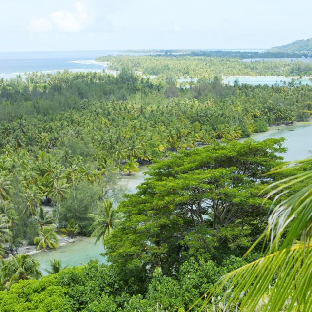 Huahine île Sauvage - ©Tahiti Tourisme