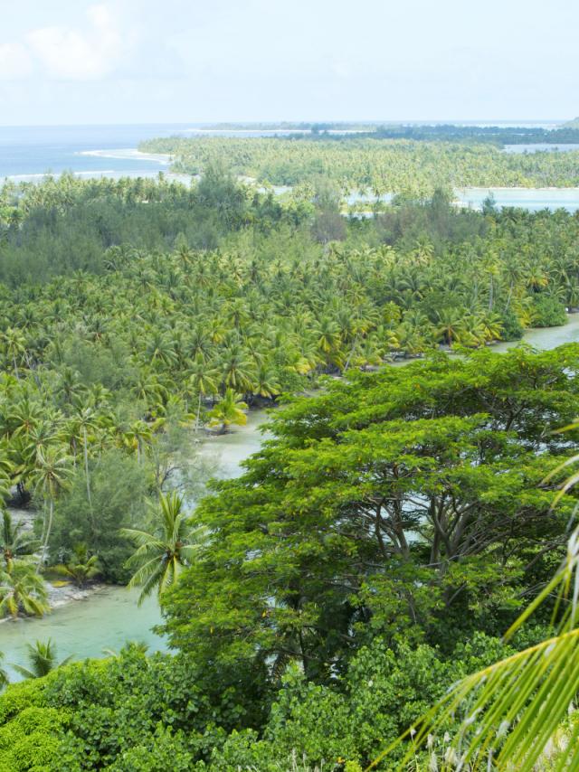 Huahine île Sauvage - ©Tahiti Tourisme