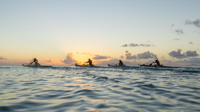 Huahine Watermana