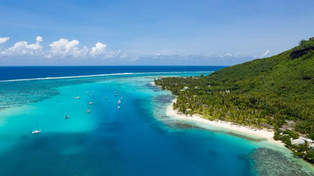 Lagon De Moorea - Tahiti Tourisme