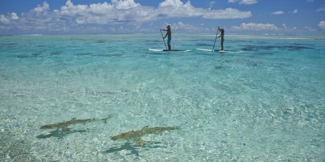 Lagon de Tikehau - © Tahiti Tourisme