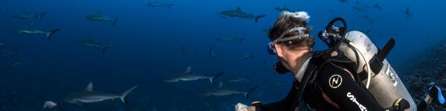 Mur De Requin Tuamotu Fakarava - Tahiti Tourisme © Grégory Lecoeur