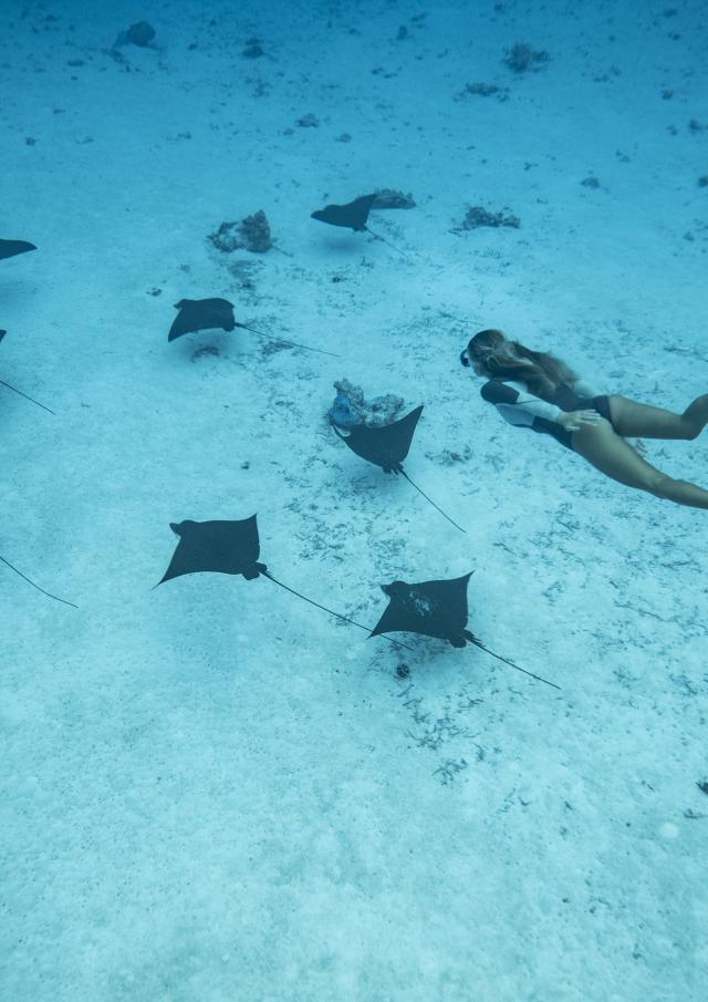 Nager Avec Des Raies Léopard à Tahiti Et Ses Îles © Emmanuel Bouvet