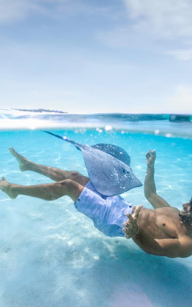 Swimming with a stingray in Moorea