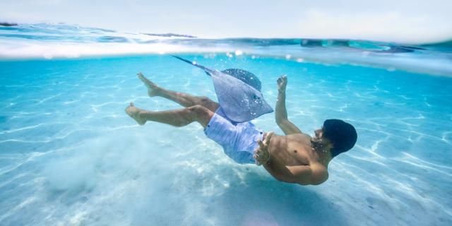 Swimming with a stingray in Moorea