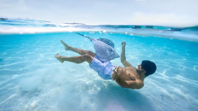 Nager avec une raie pastenague - Tahiti Tourisme © Grégoire Le Bacon