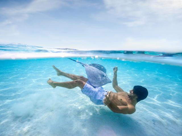 Swimming with a stingray in Moorea