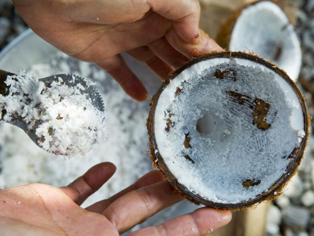 Noix De Coco Râpée à Huahine ©tahiti Tourisme