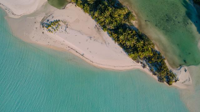 Tetiaroa Beach Tahiti Tourisme