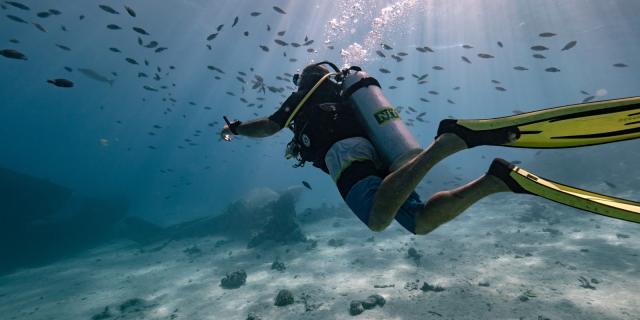 Plongeur à Tahiti Et Ses Îles Tahiti Tourisme © Mark Fitz