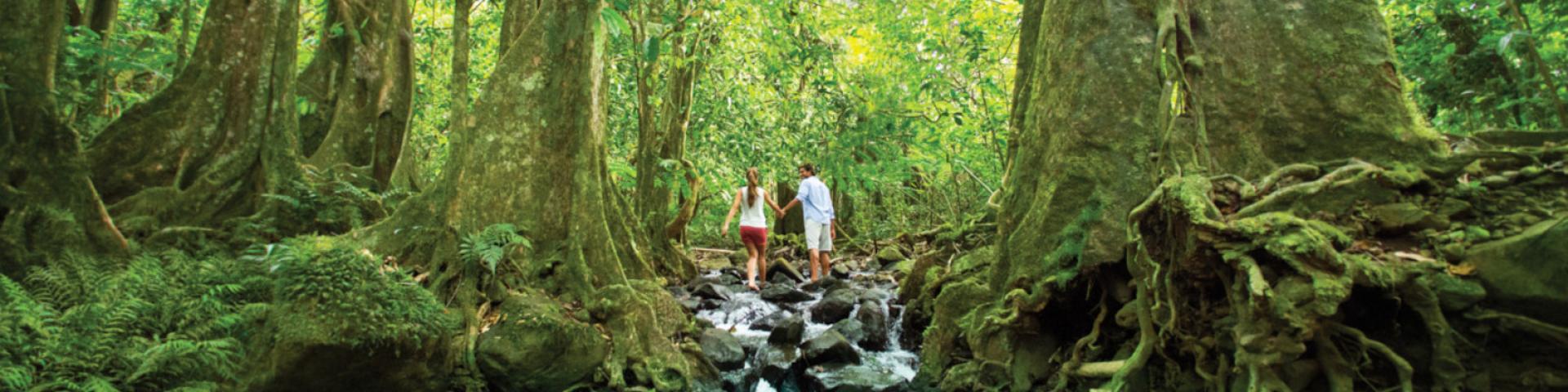 Randonnée Pédestre En Couple à Tahiti Tahiti Tourisme © Grégoire Le Bacon
