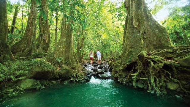 Randonnée Pédestre En Couple à Tahiti Tahiti Tourisme © Grégoire Le Bacon