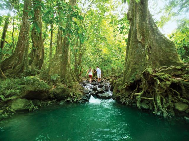 Randonnée Pédestre En Couple à Tahiti Tahiti Tourisme © Grégoire Le Bacon