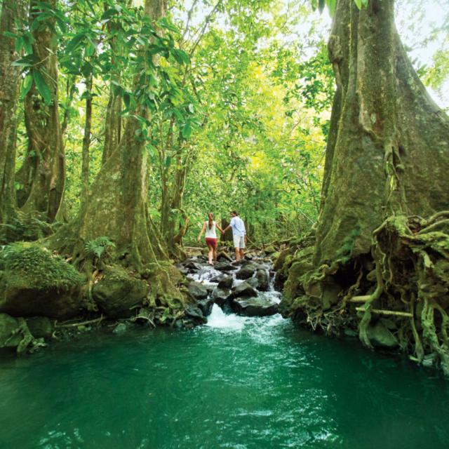 Randonnée Pédestre En Couple à Tahiti Tahiti Tourisme © Grégoire Le Bacon