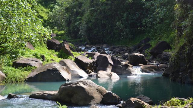 Rivière Et Vallée De Tahiti - Tahiti Tourisme ® M Colombini