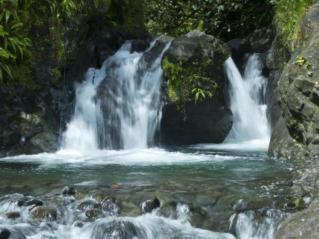 Rivière de Papeno'o à Tahiti © Tahiti Tourisme