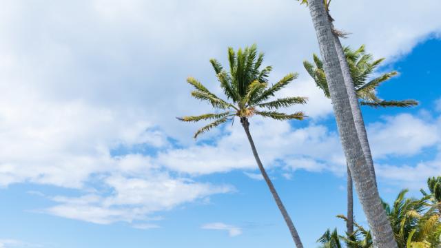 Tetiaroa - Tahiti Tourisme