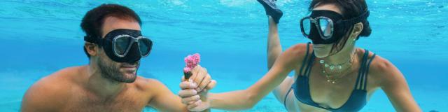 Vacanciers qui bouturent du coral avec Coral Gardeners à Moorea - Tahiti Tourisme © Myles Mcguinness